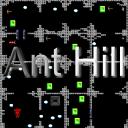 Ant Hill - 1991